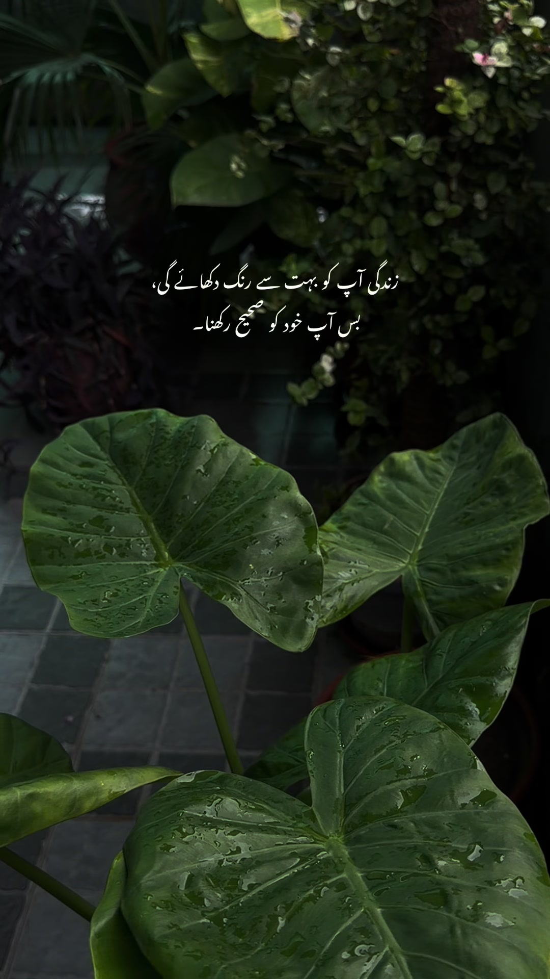 @𝙏 𝘼 𝙇 𝙃 𝘼🫀❤️&zwj;🩹