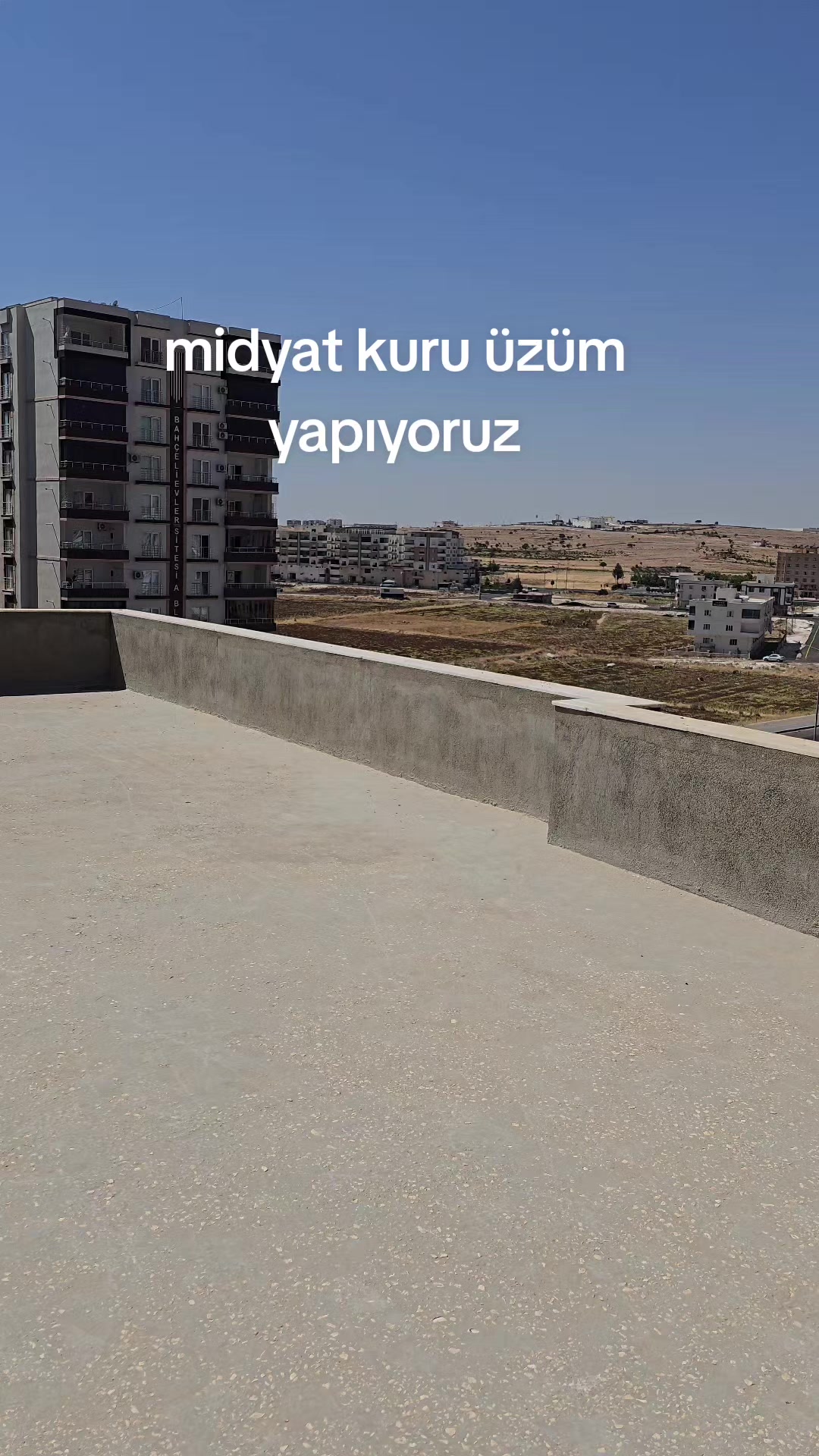 @47pamuklu şekerci