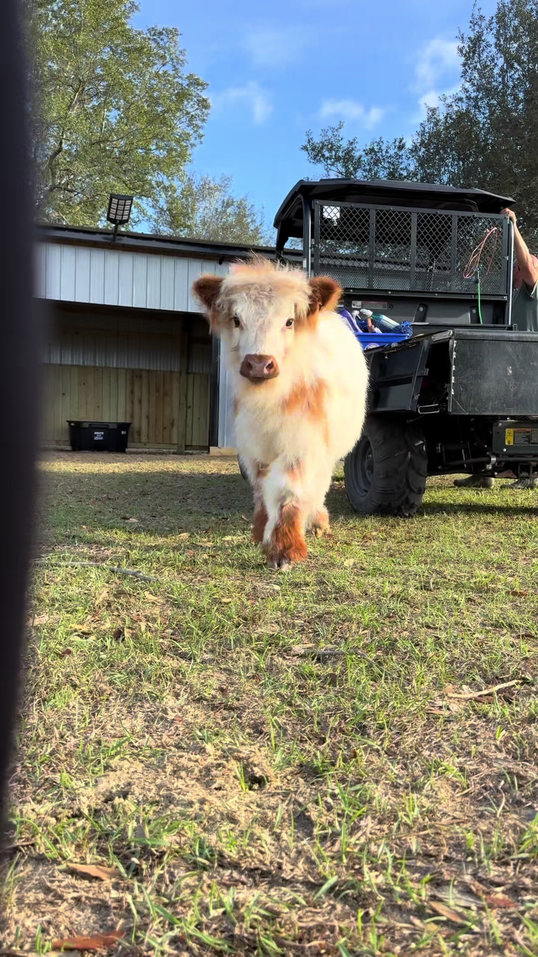 @WildernessRanch