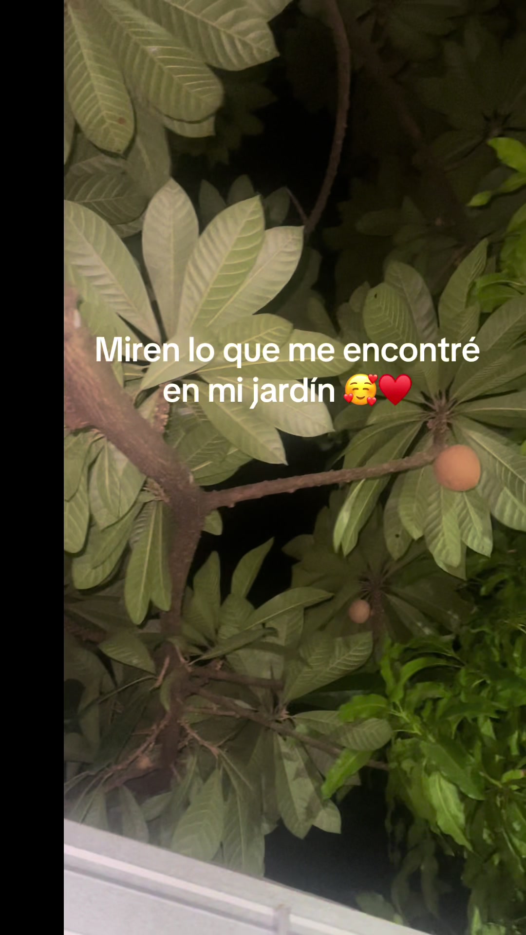 @Brenda Martinez
