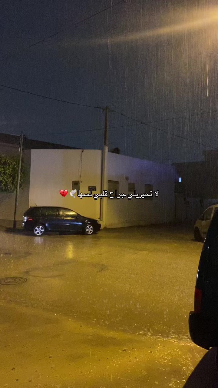 @ميساء فرحات🐆