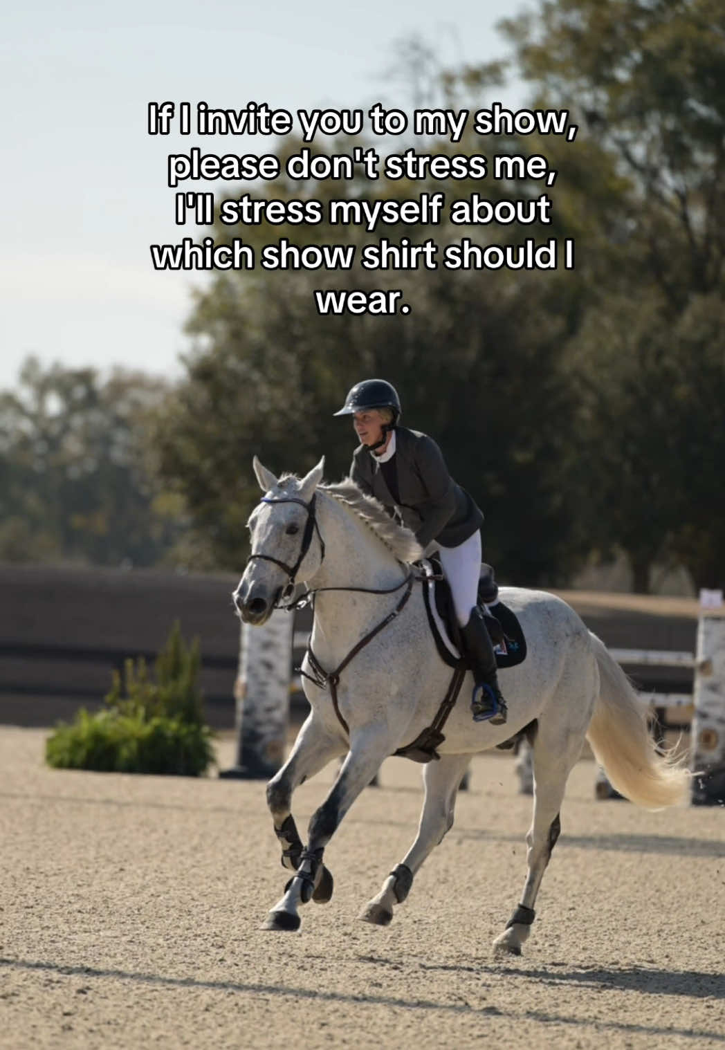 @Free Ride Equestrian