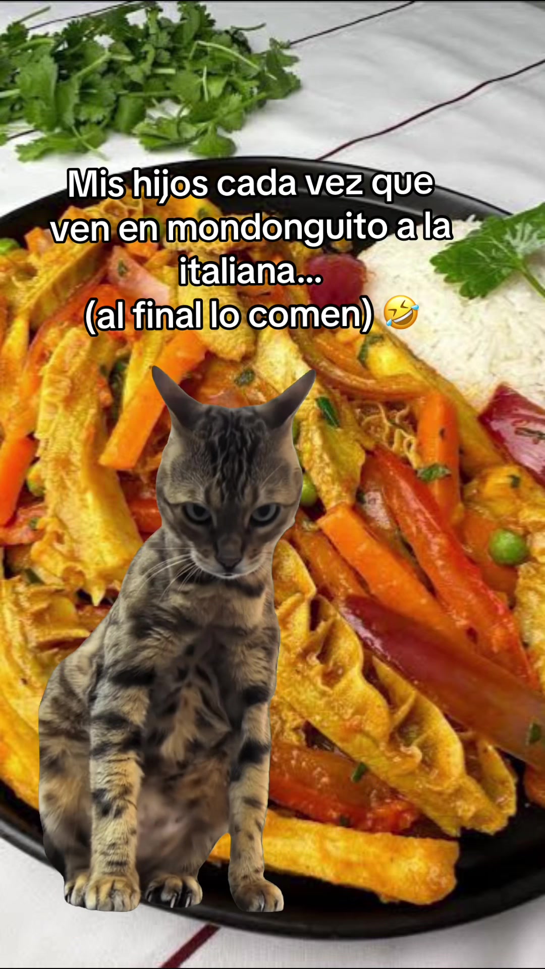 @JAV.