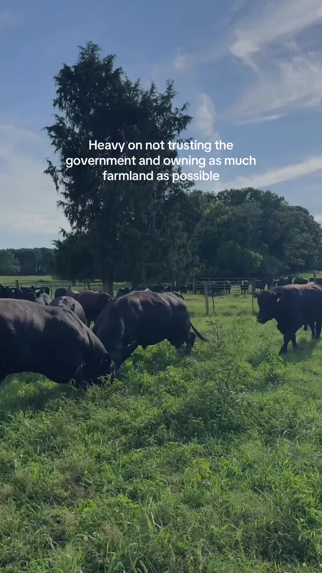 @Lily Hill Farm