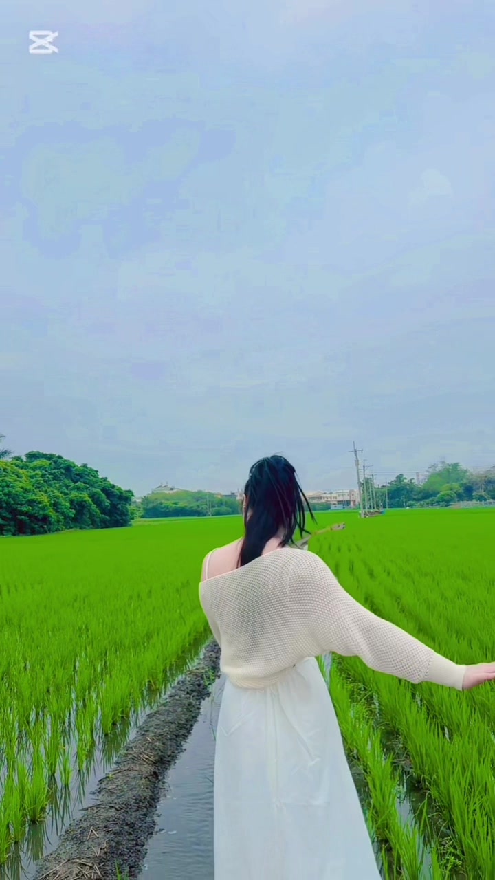 @tham262626