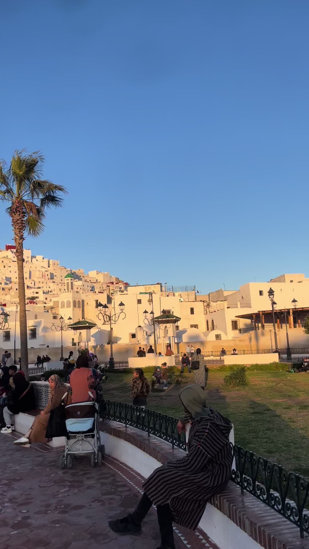 @Zakaria el mjdobi