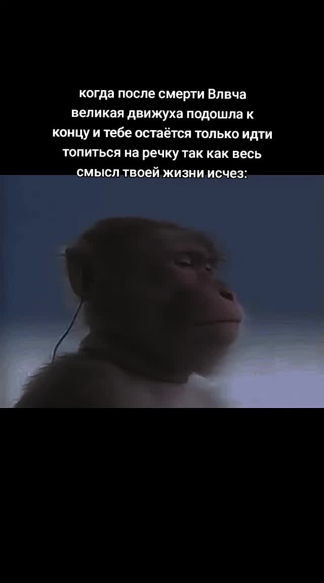 @gnom2949