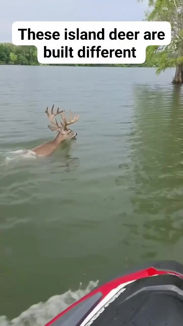 @Buckmasters Outdoors