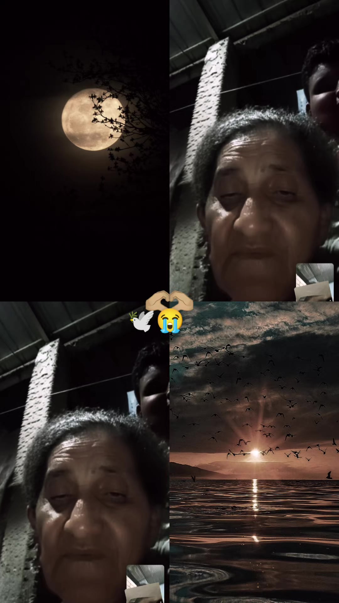 @DANNY 🌻🪐🖤