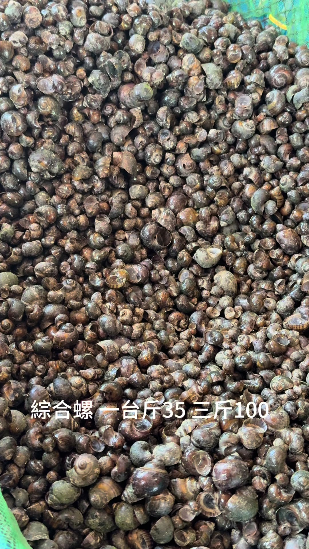@阿興檳榔攤(金寶螺專賣店