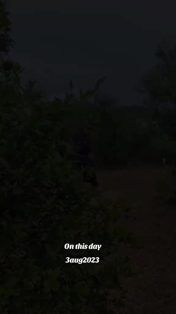 @قیدی نمبر 804✌️💪