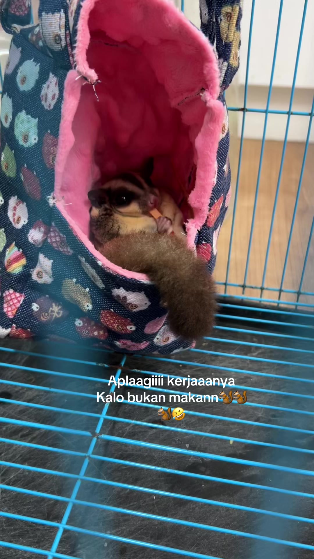 @jesugarglider.id1