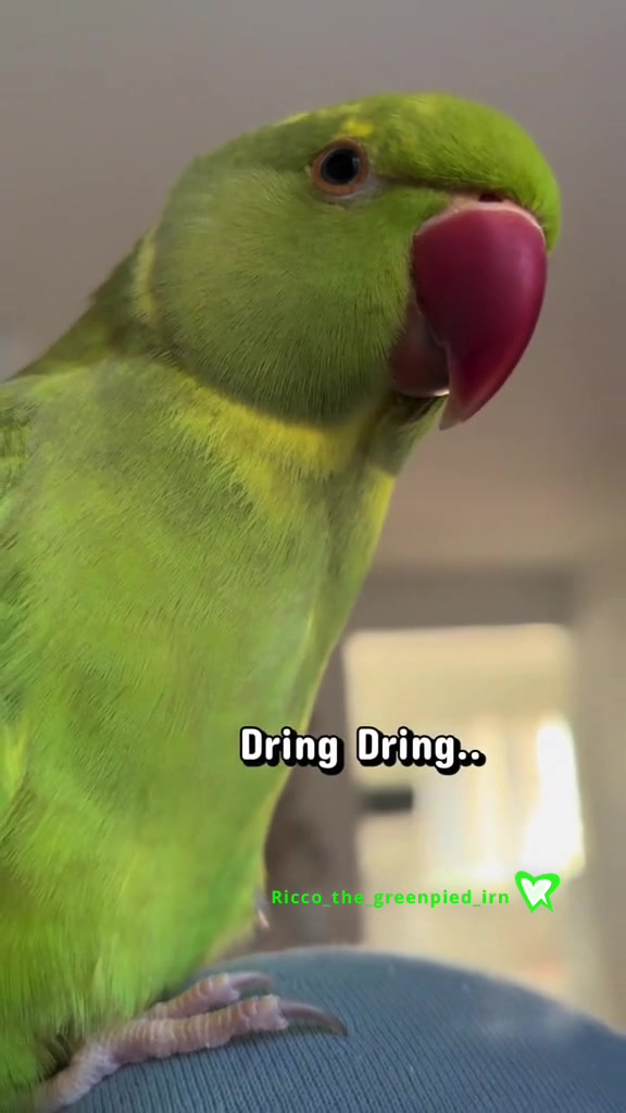 @Ricco