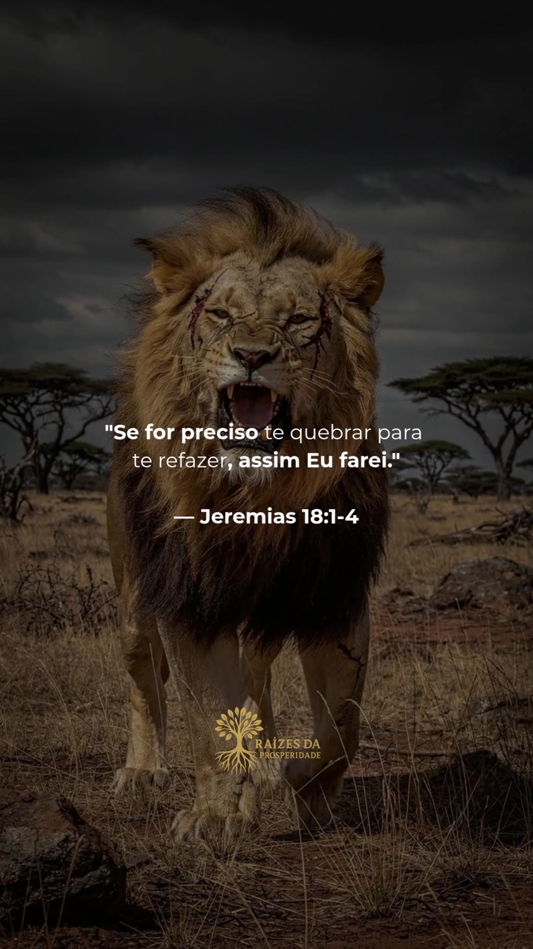 @Raízes da Prosperidade