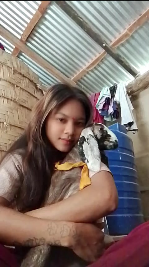 @pgl keti