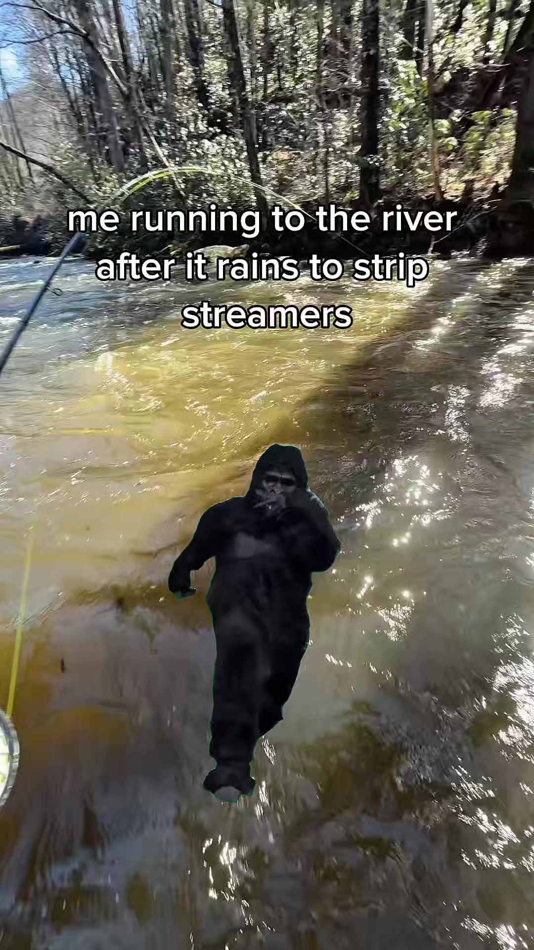 @𝙅𝘽