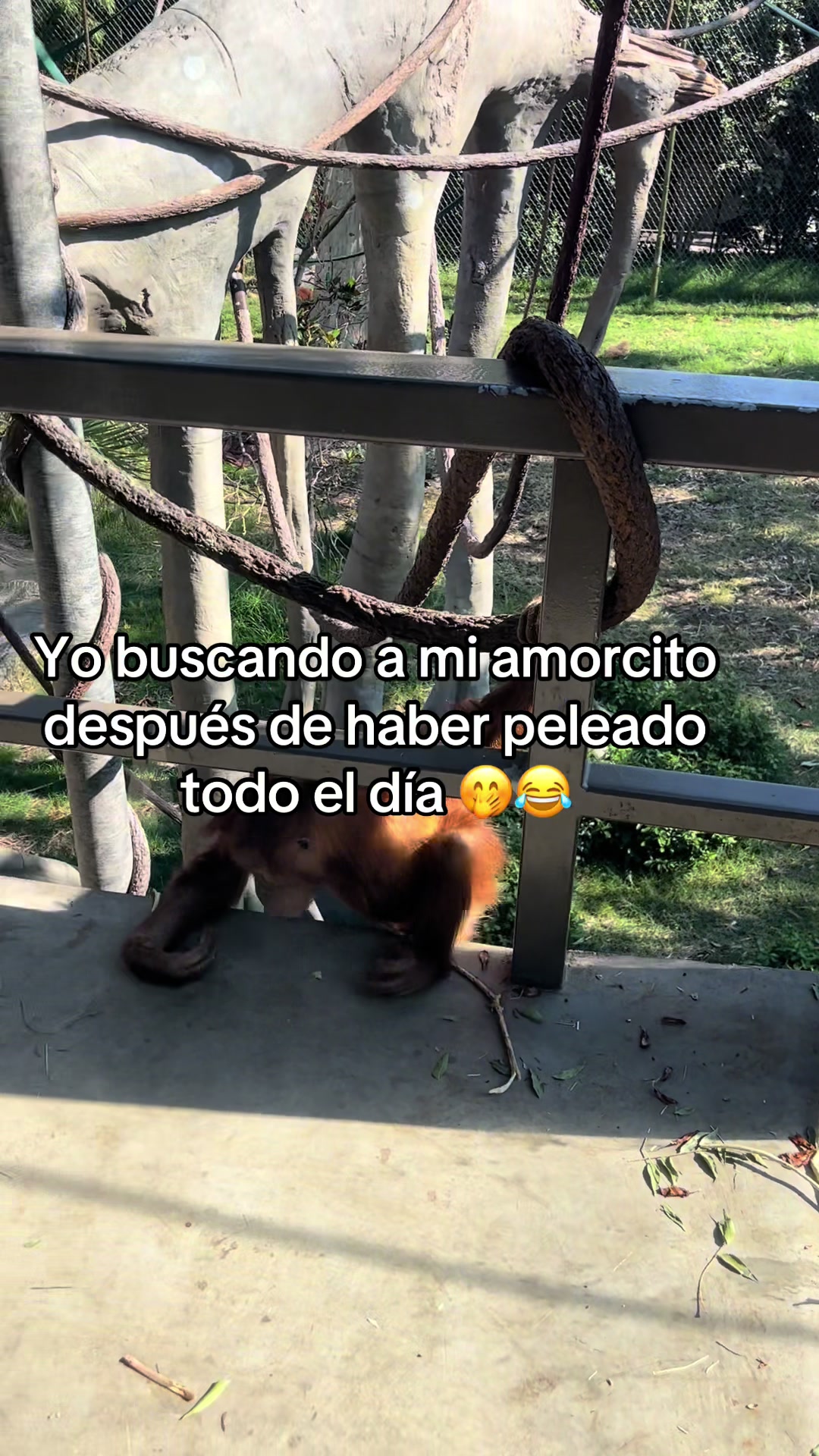 @Indira💖