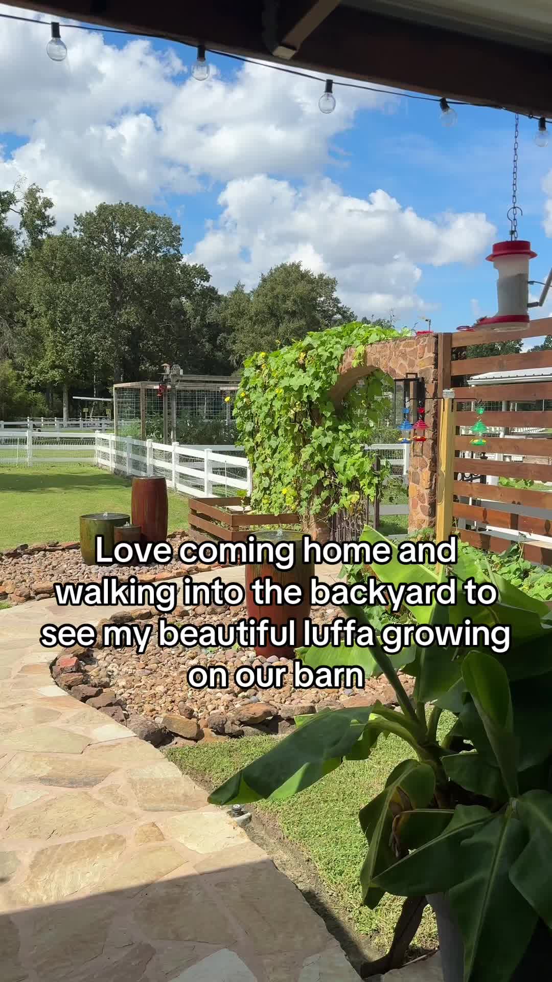 @Big Horse Farm Company LLC
