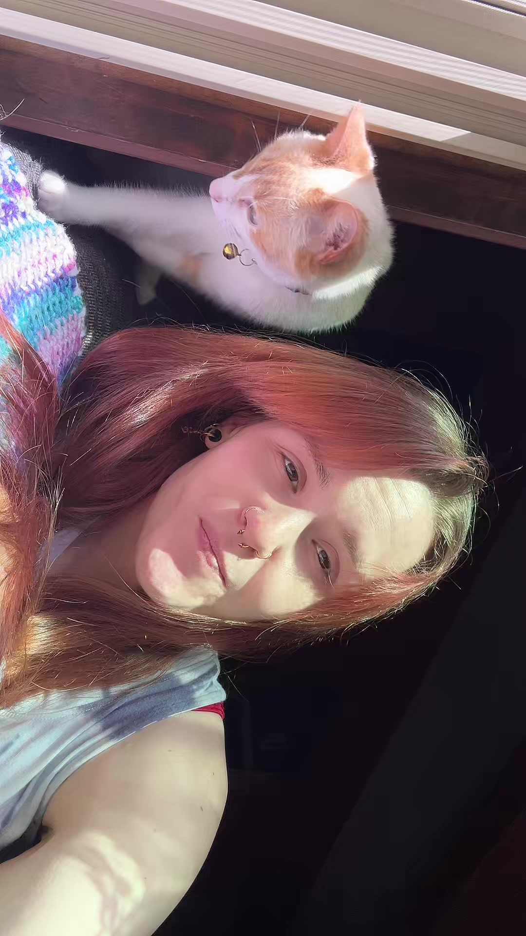 @Siggybugg
