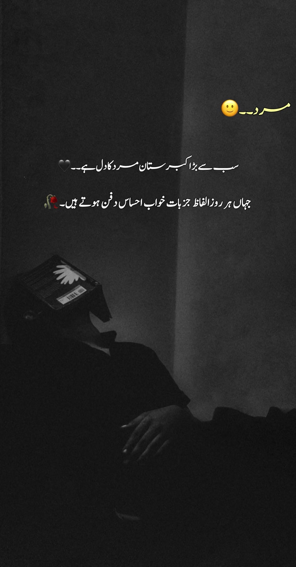 @Silᴇnt Scᴀʀs