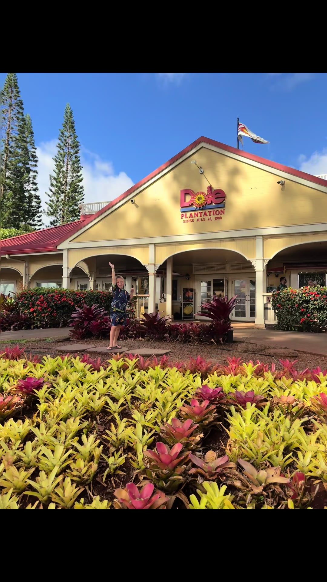 @Cassie Adams/ Travel Agent