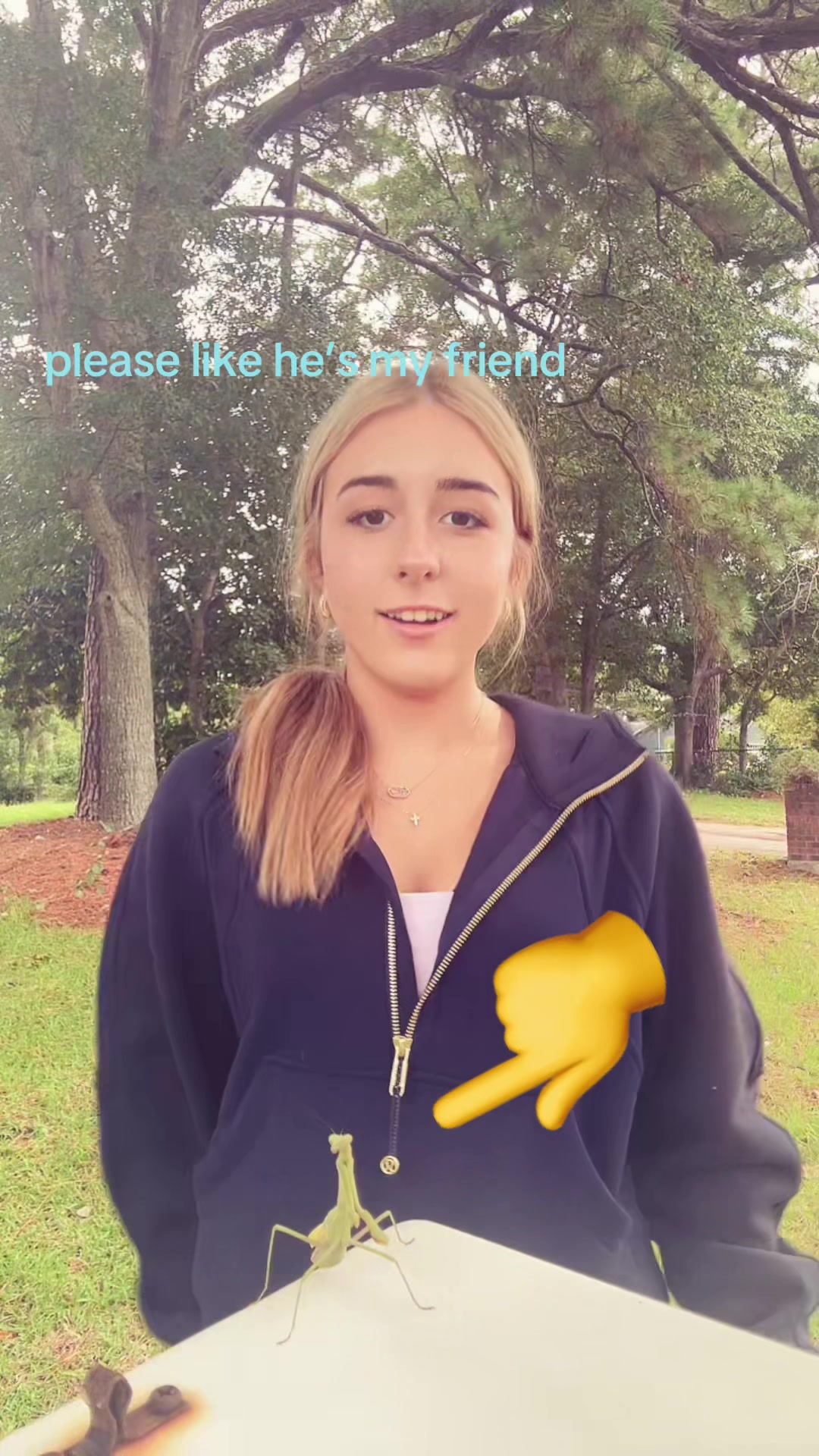 @young.buiscuit