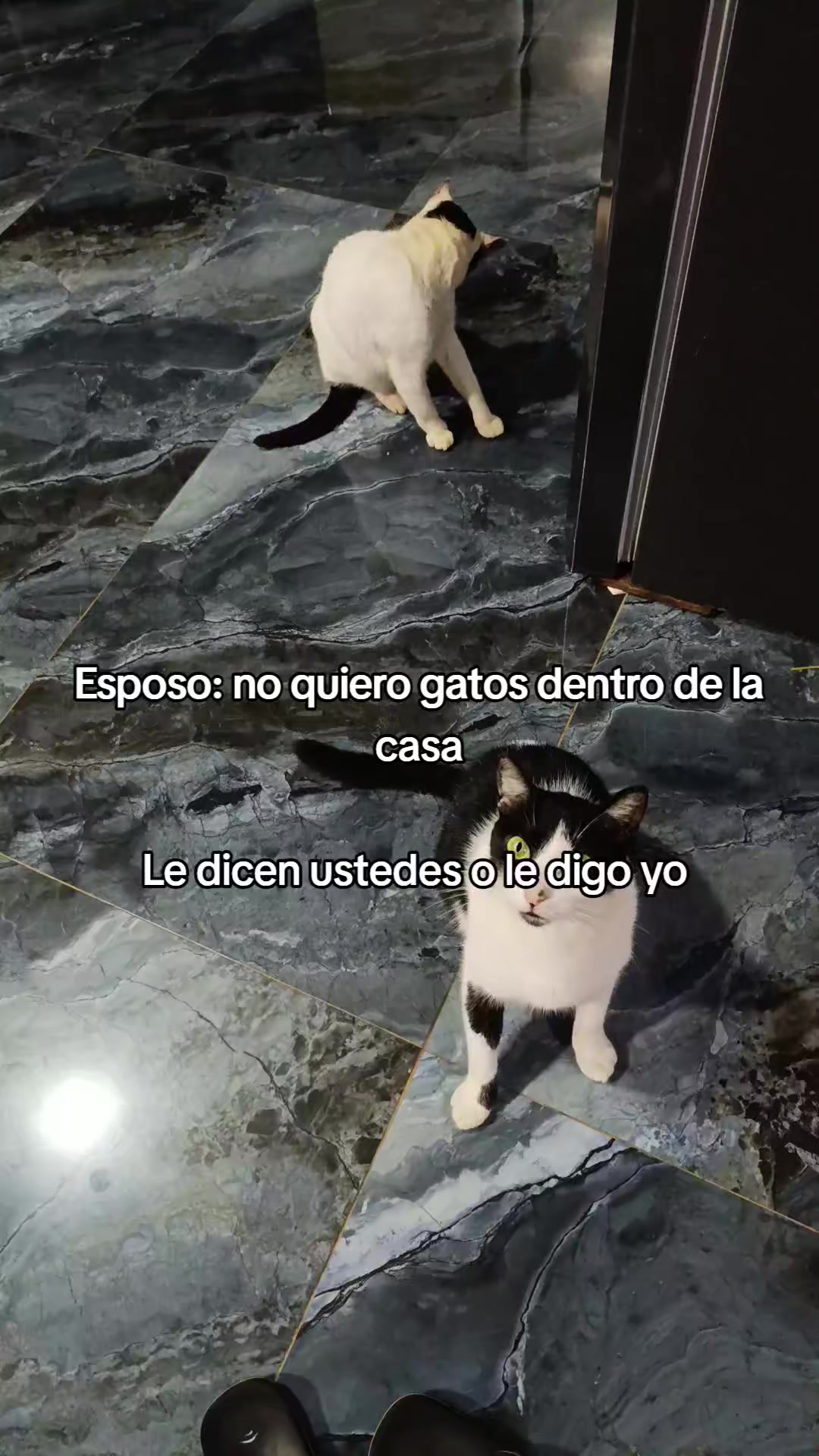 @AnGie💕