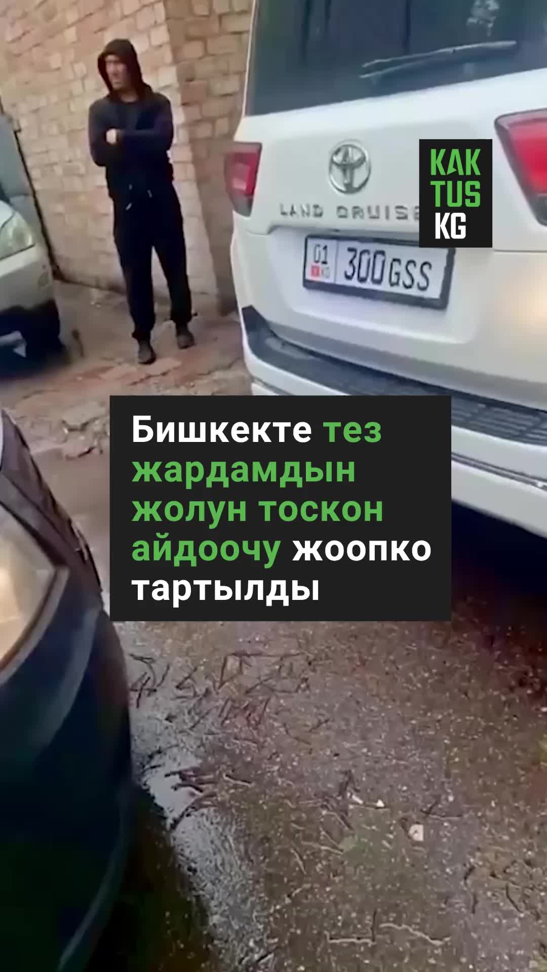 @Kaktus KG