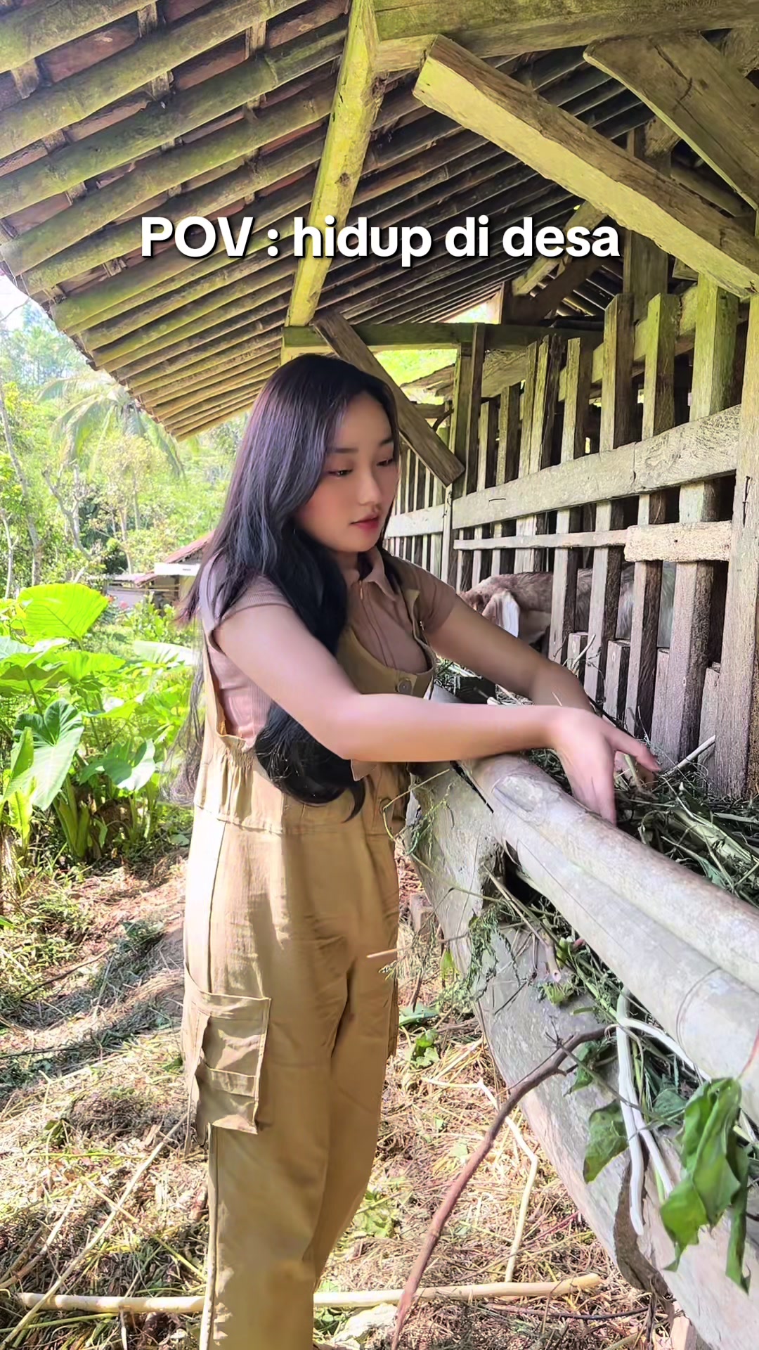@ida_Pw🌺