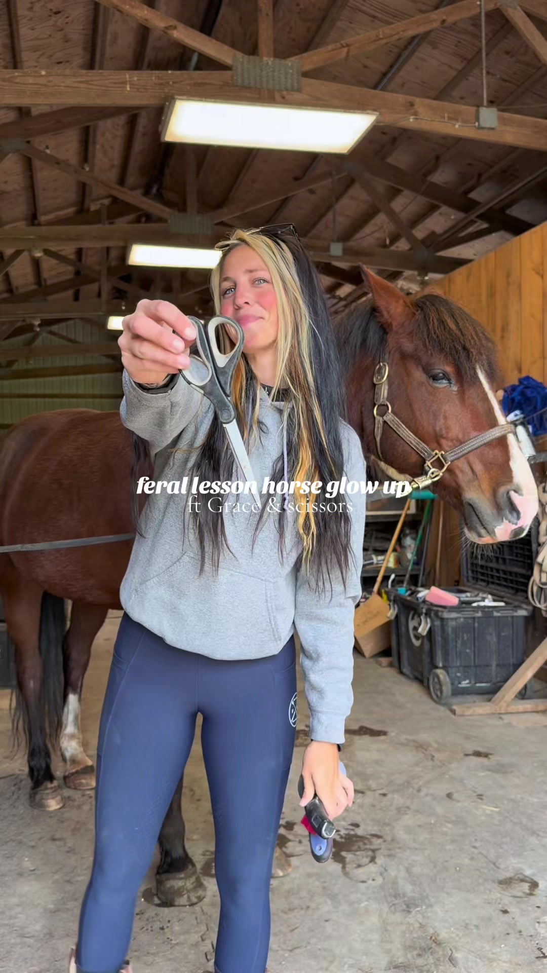 @Lunar Hill Equestrian
