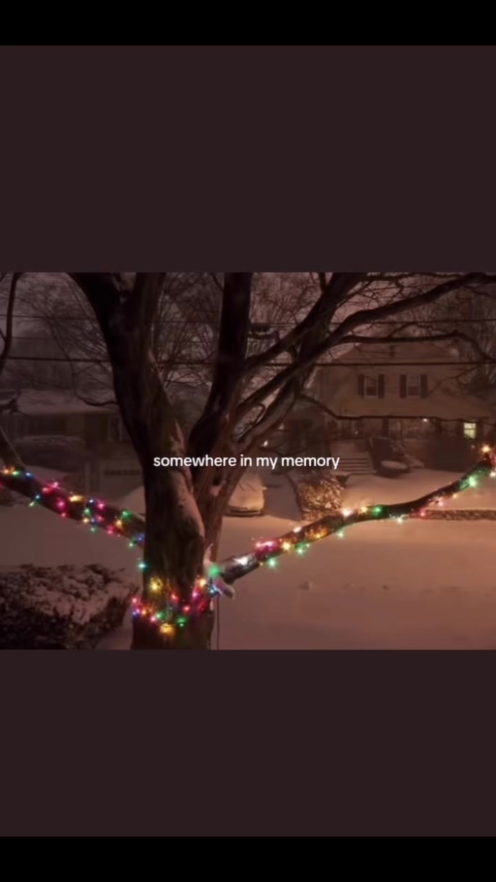 @C H R I S T M A S 🎄