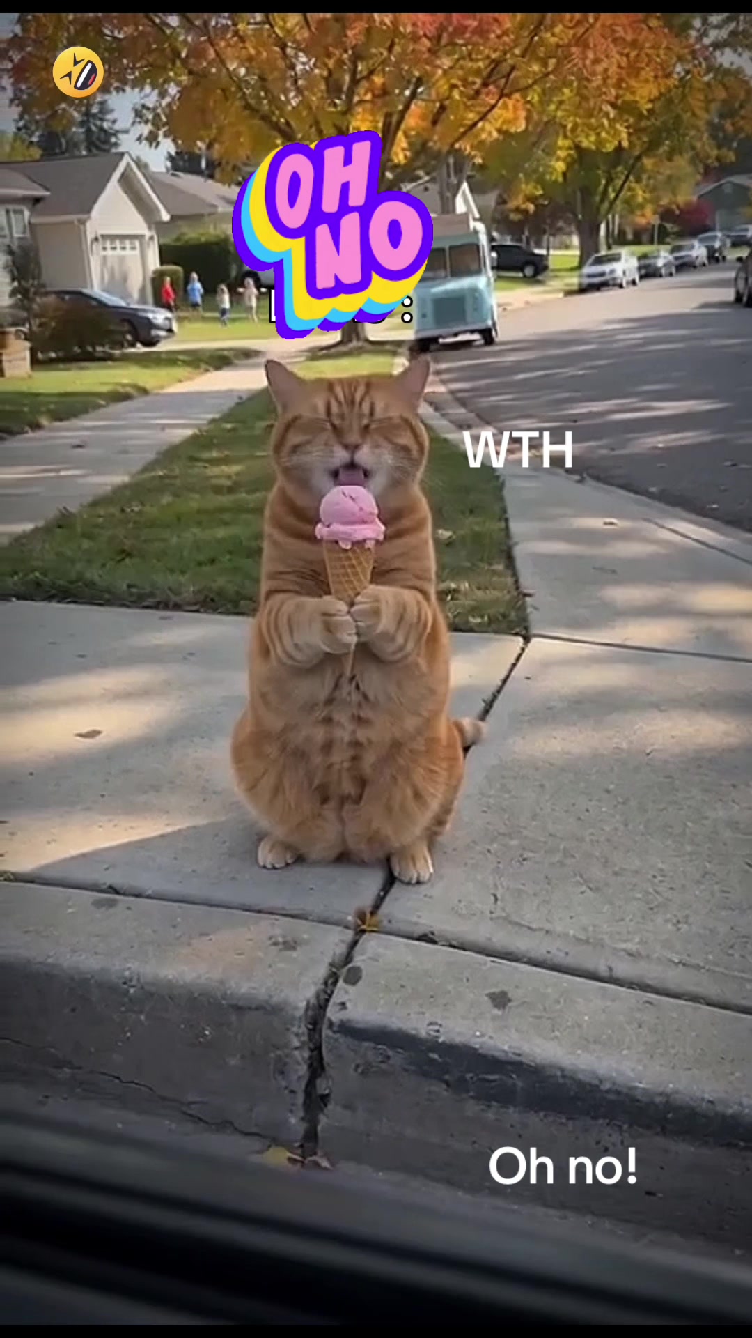 @🐈⬛🐈Shelby🐈