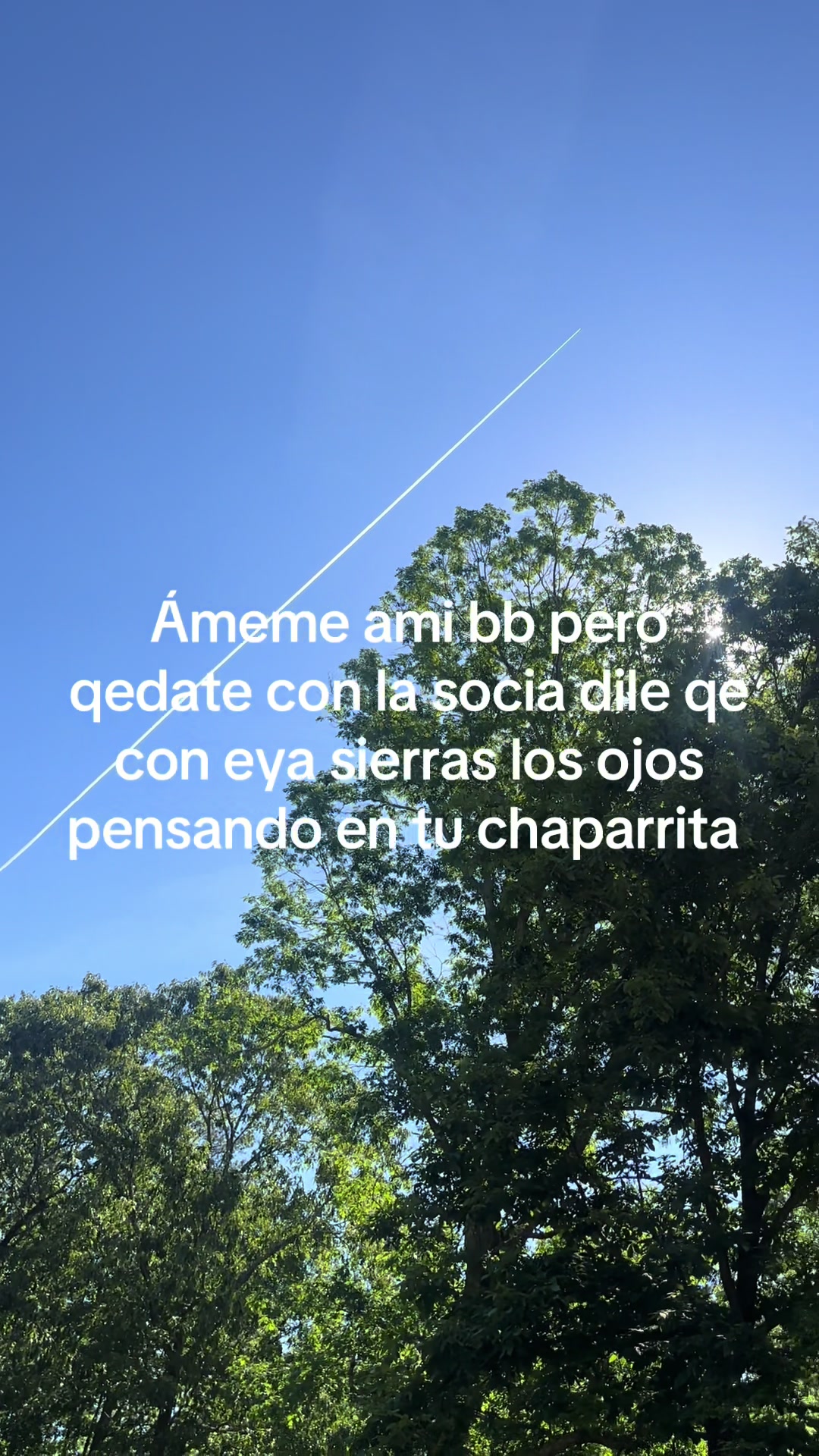 @bbchaparrita3