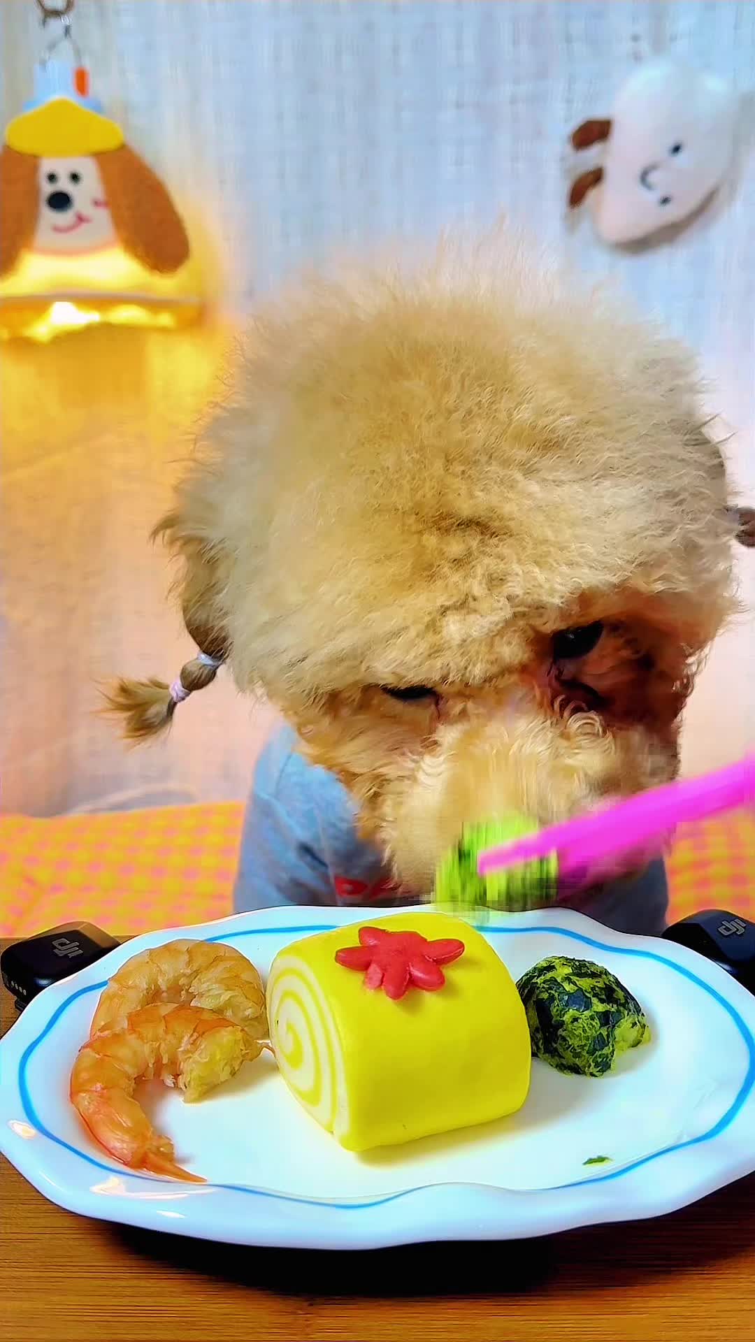 @dog eat