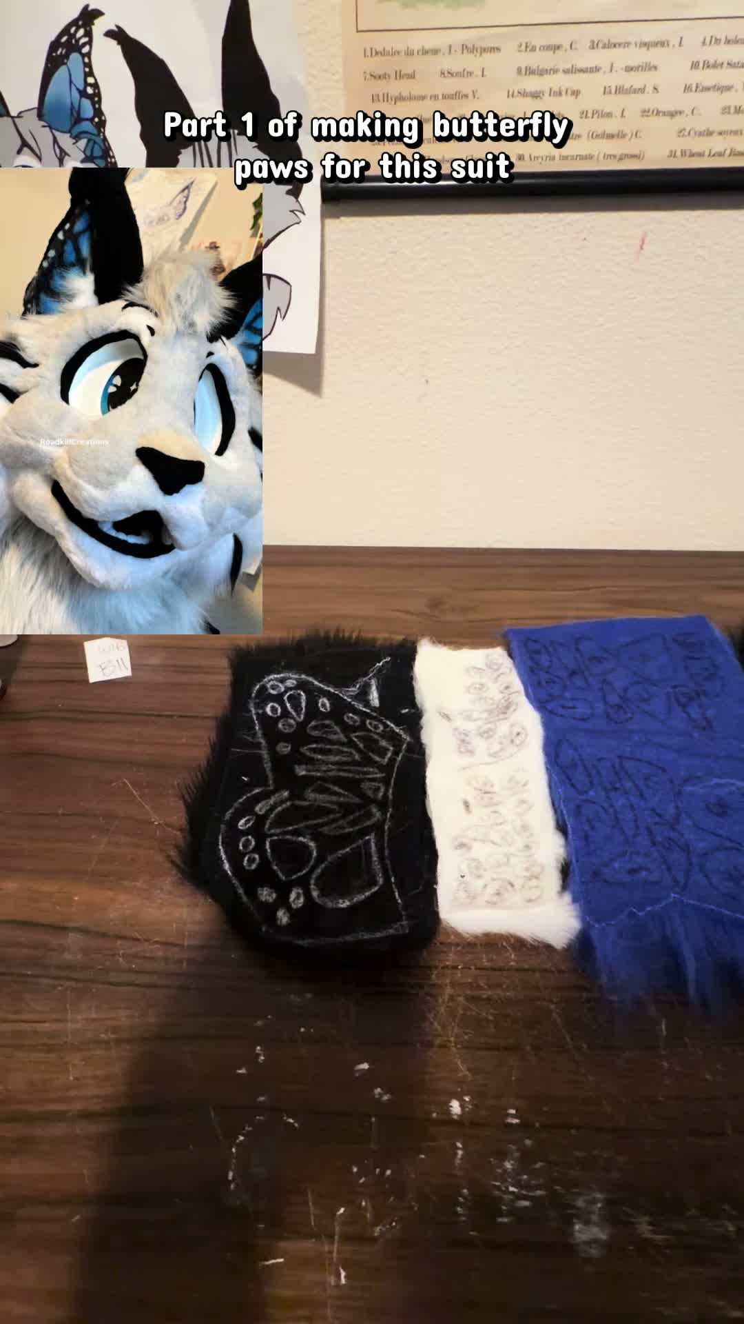 @RoadKill Creations Fursuits