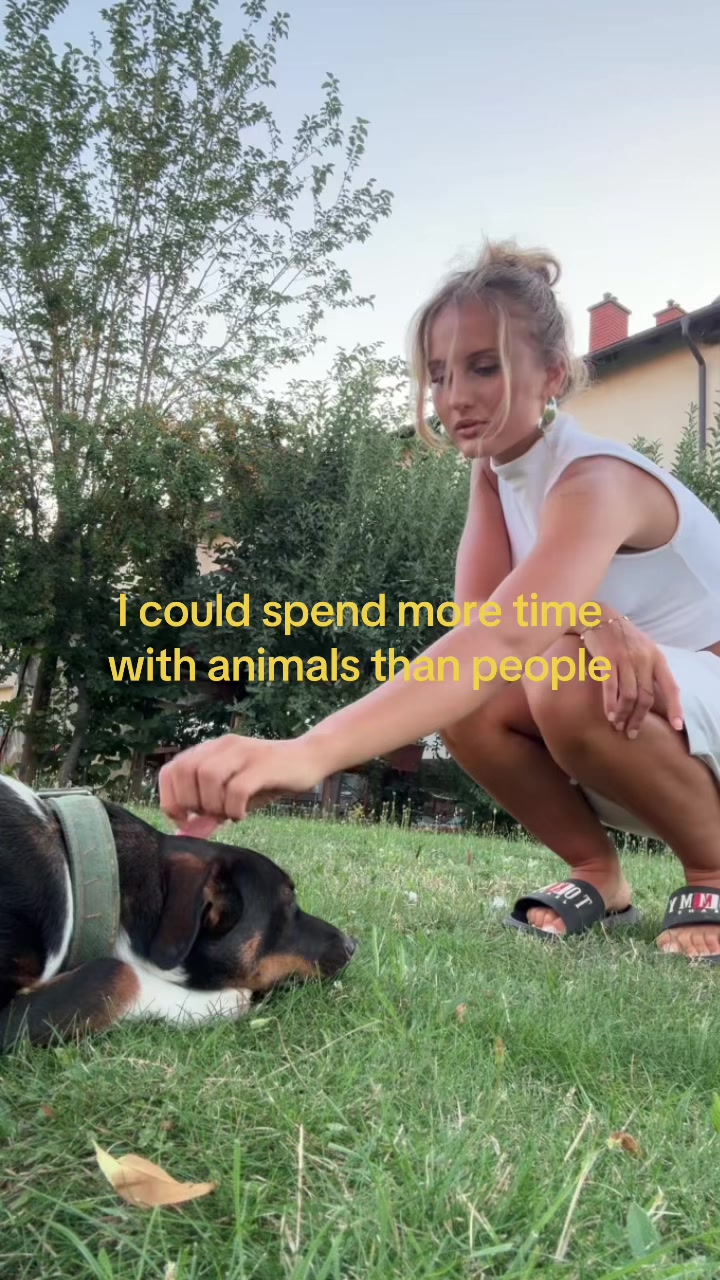 @dijonab