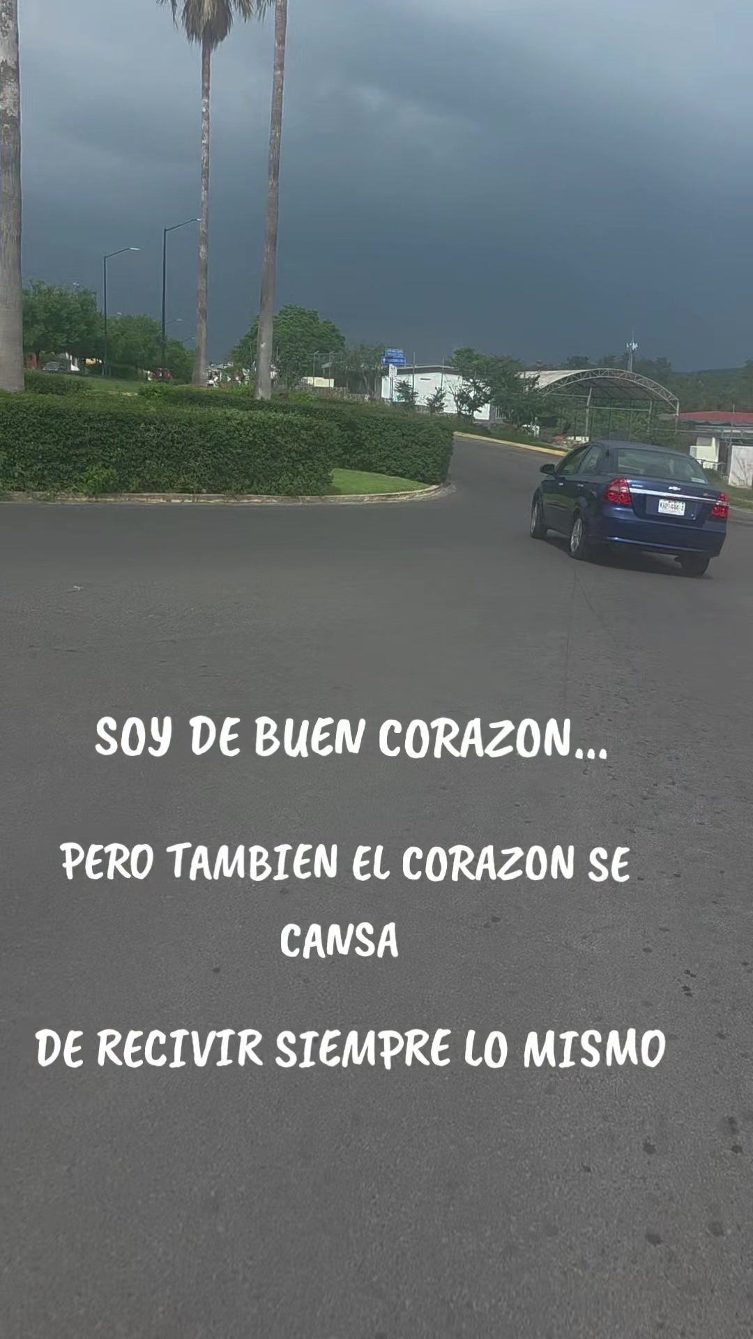 @Paulina Castro Flore