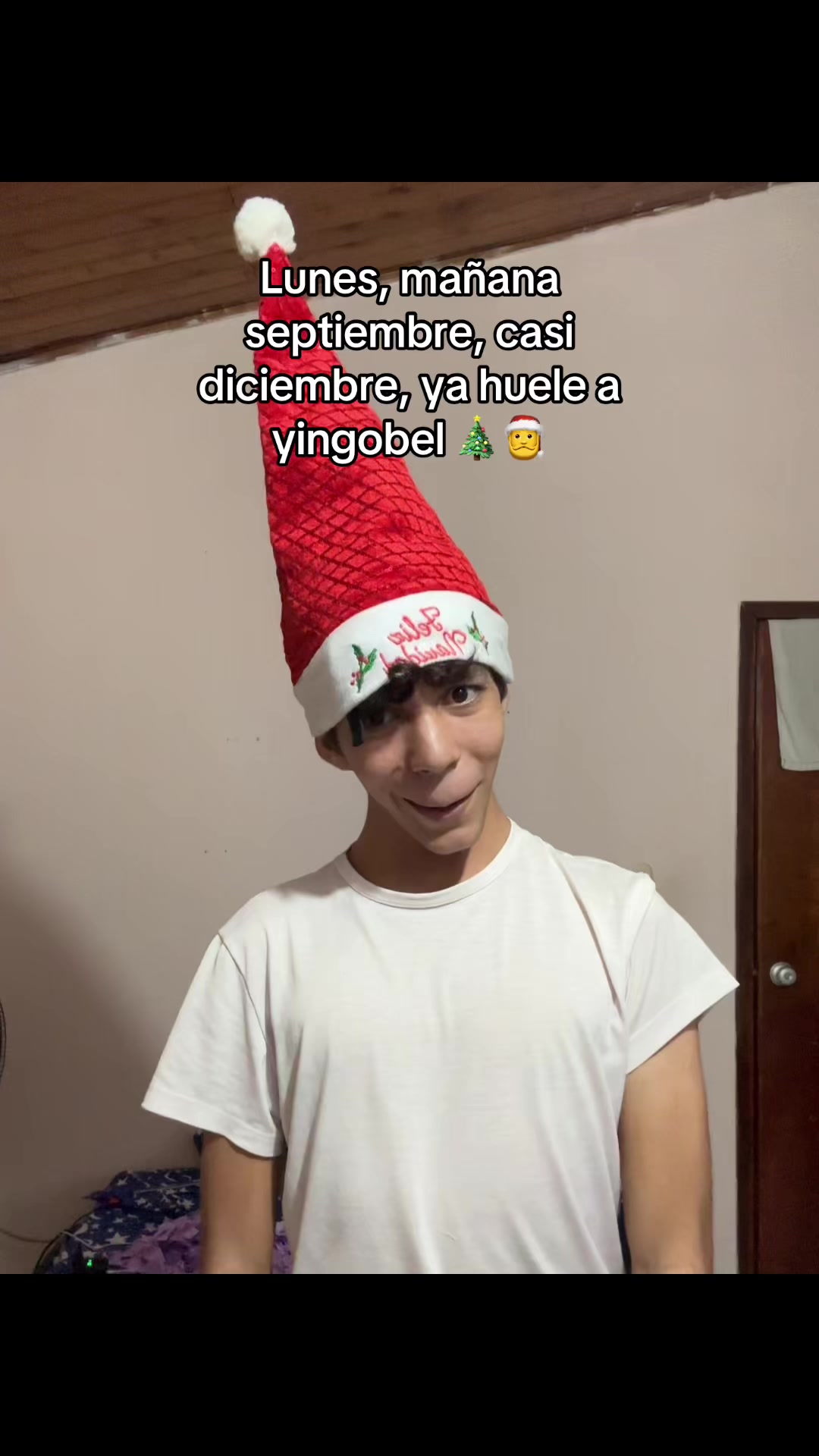 @luisiito ☻
