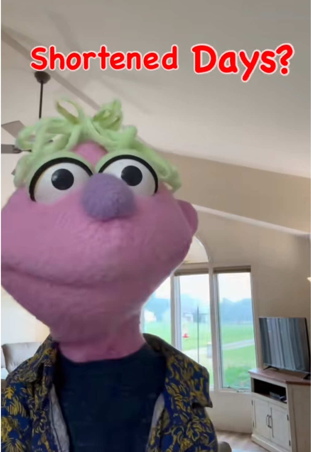 @𝘋𝘪𝘯𝘹 𝘵𝘩𝘦 𝘗𝘶𝘱𝘱𝘦𝘵