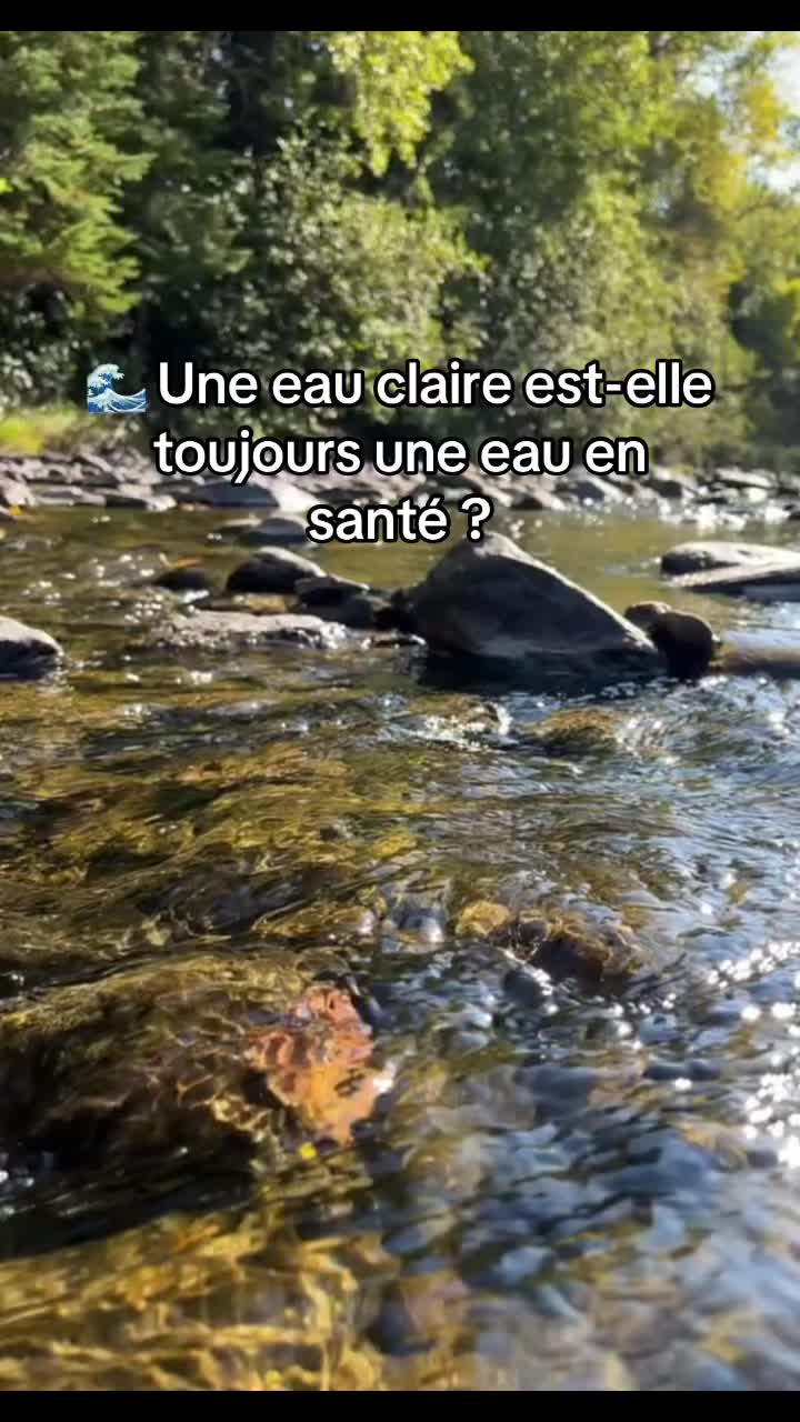 @COBARIC 🌊 Rivi&egrave;re Chaudi&egrave;re