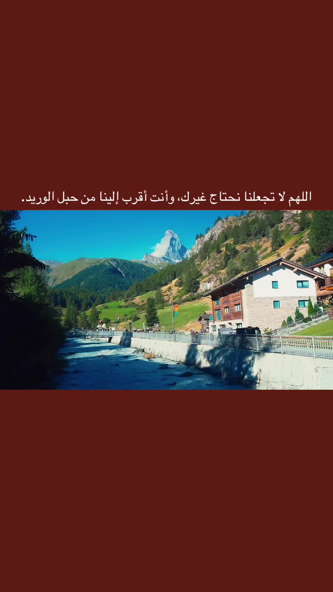 @المجتهد