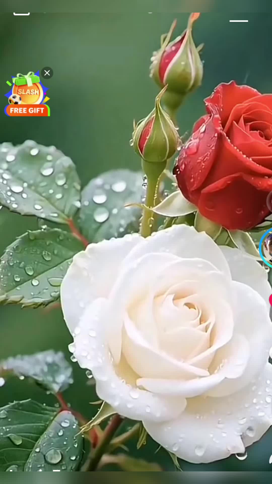 @Shante_