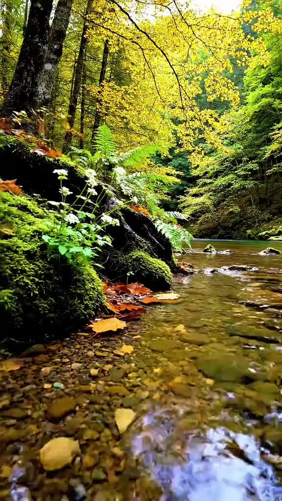 @واثقه بالله