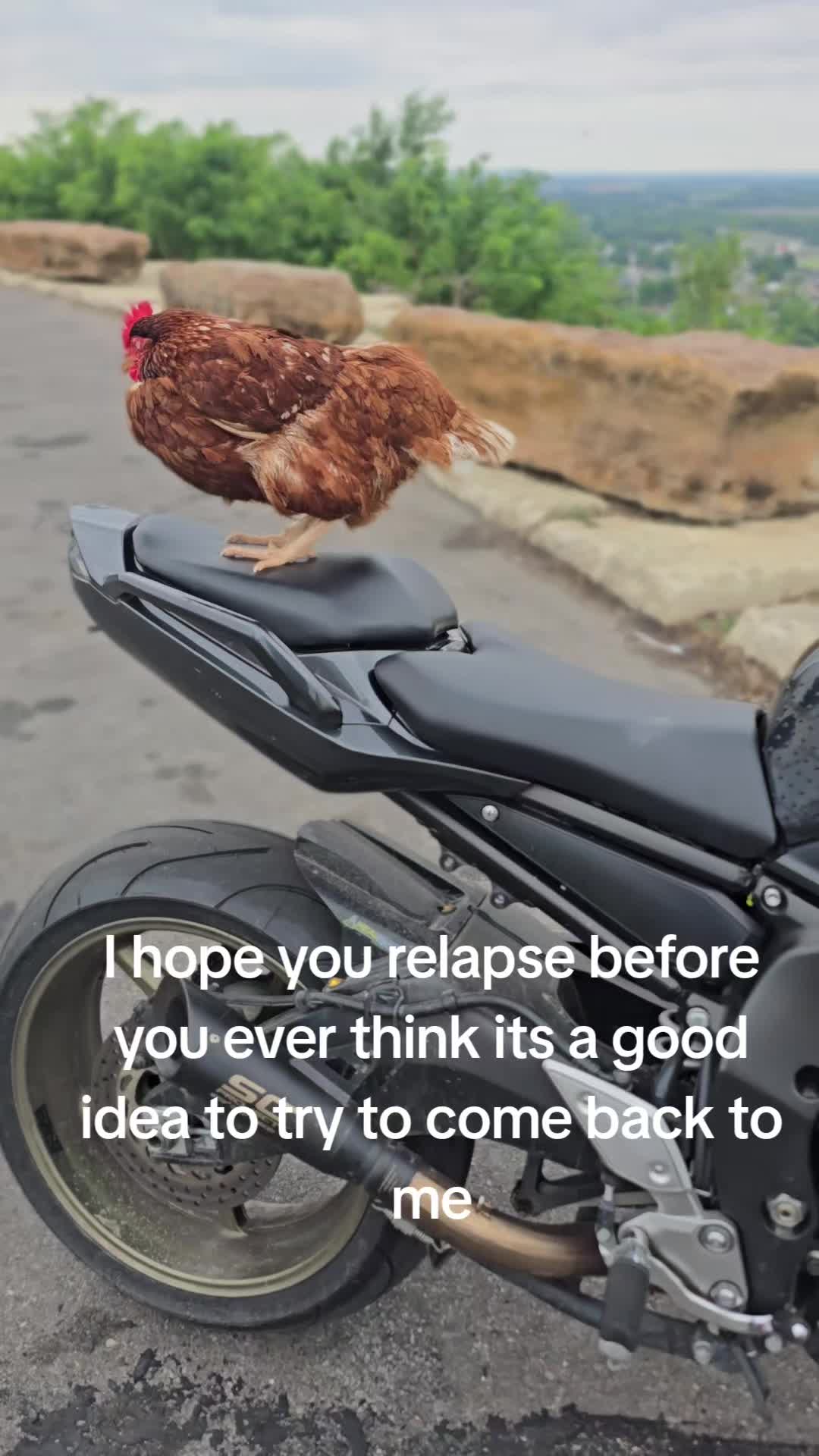 @JTKFZ1