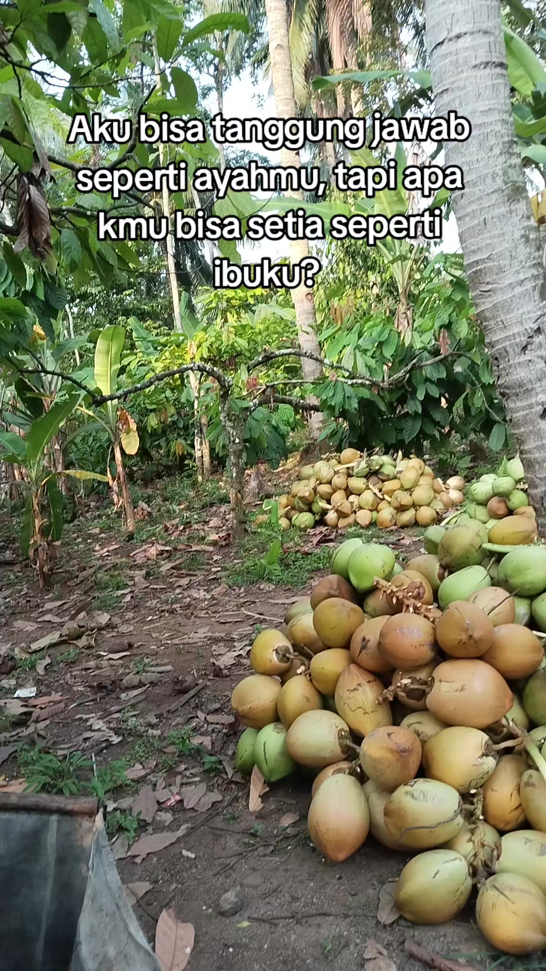@@BANGKIT_MANDIRI01
