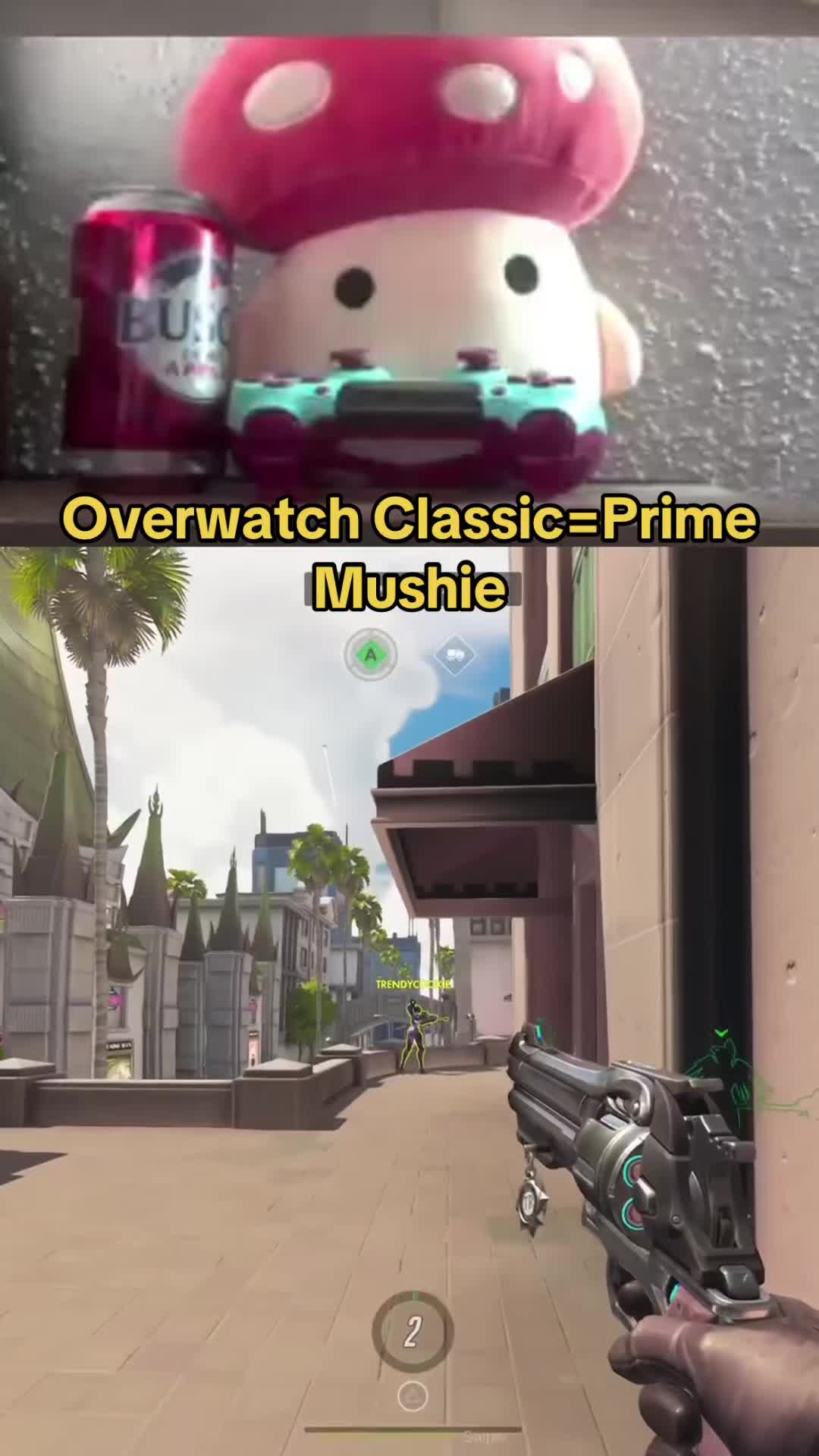 @drmushroom4