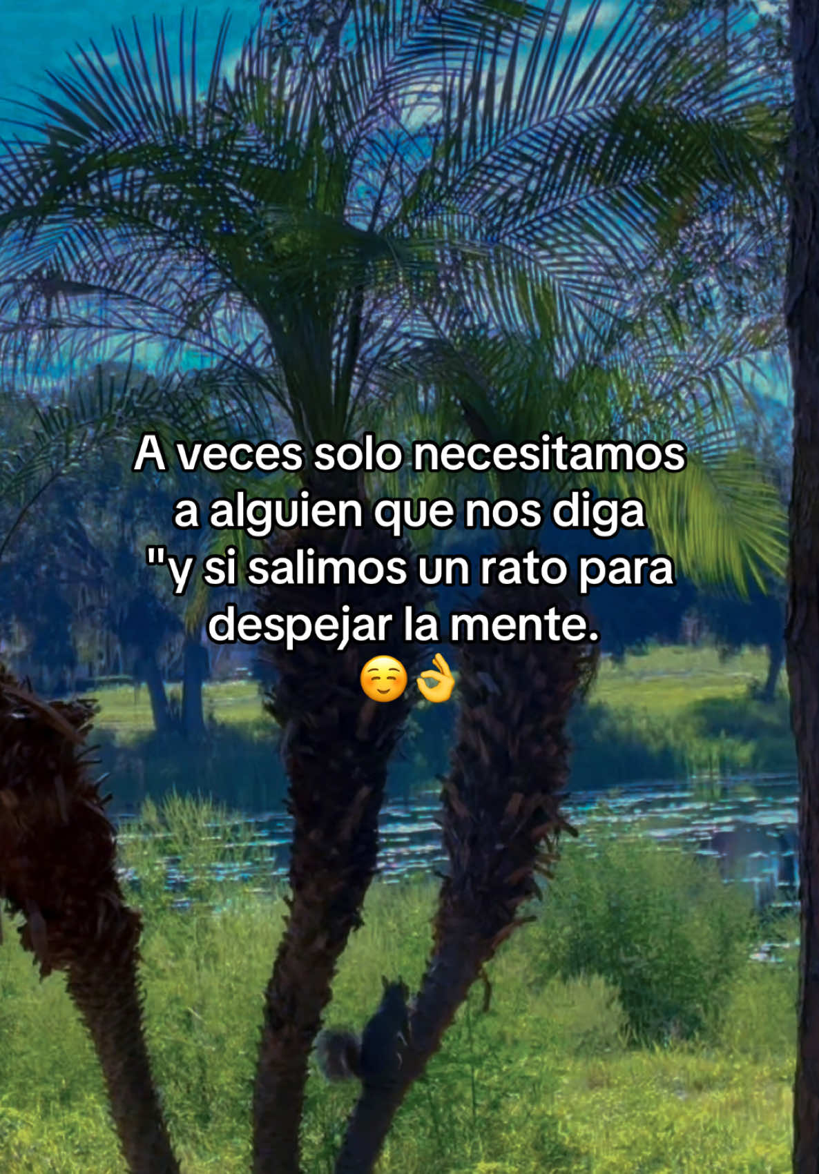 @🦉🟡💛TEYIS🌼🐝✰ 🦚D’ORO🦐🦍🟡