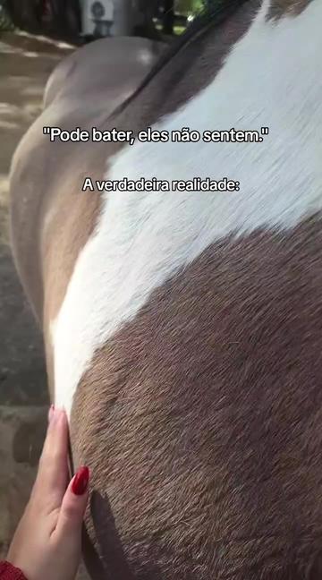 @Ribeiro