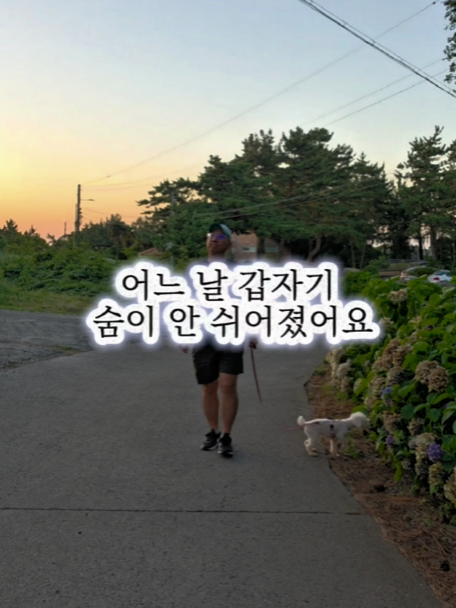 @진심먹거리