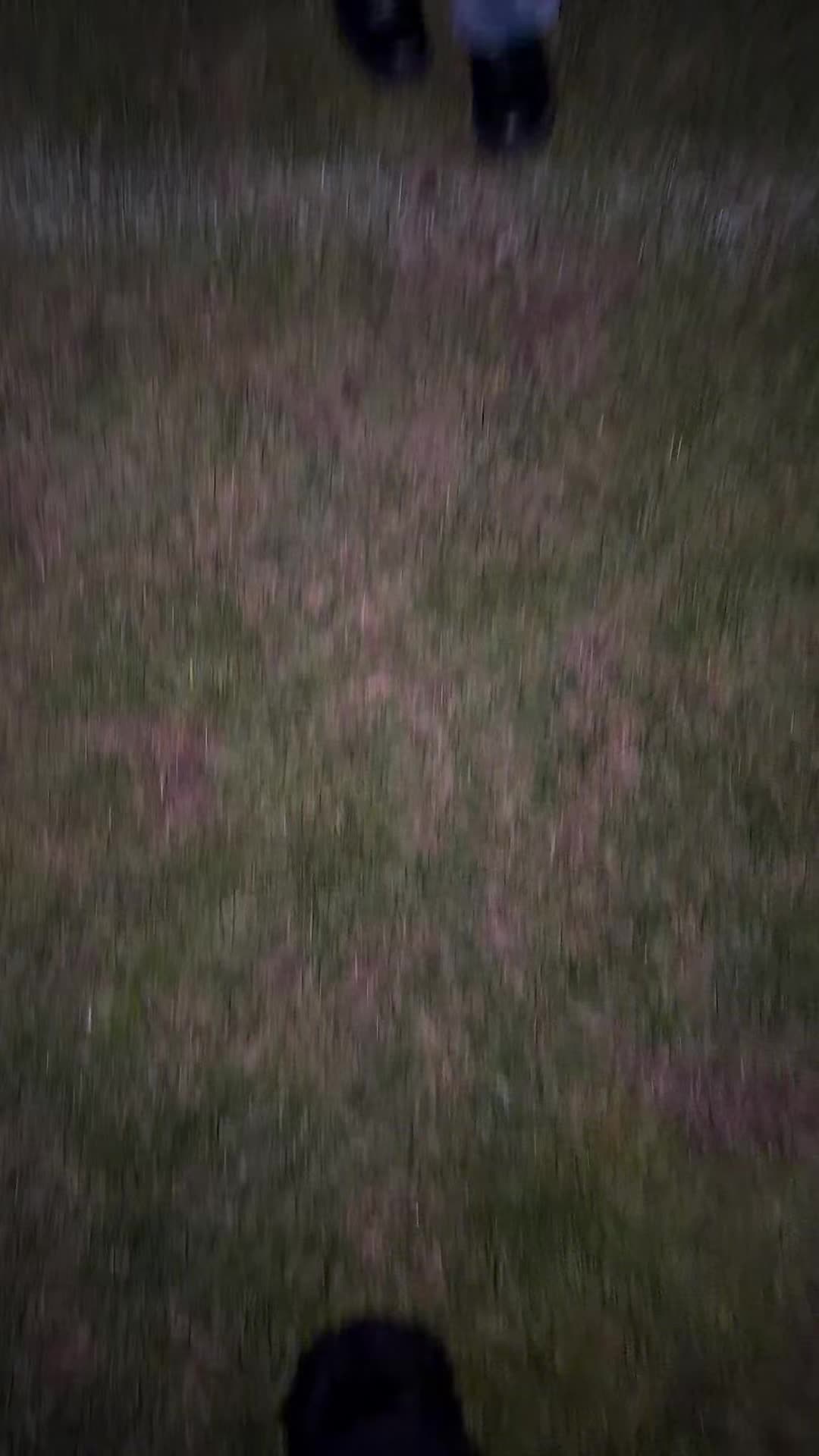 @kay☠︎
